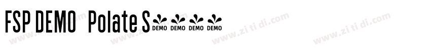 FSP DEMO   Polate S字体转换